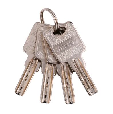 40mm 50mm 60mm 70mm High Security Padlock Padlock Prateado Com Chave